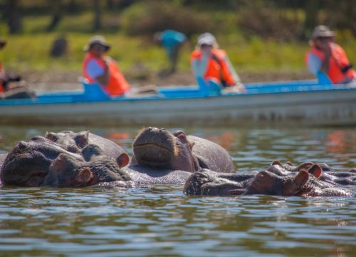Explore the Wonders of Lake Naivasha, Maasai Mara, and Lake Nakuru with Kenya Mjusi Safaris