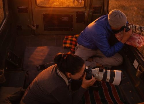 The Ultimate Guide to Car Hire and Transportation in Kenya: Travel with Confidence