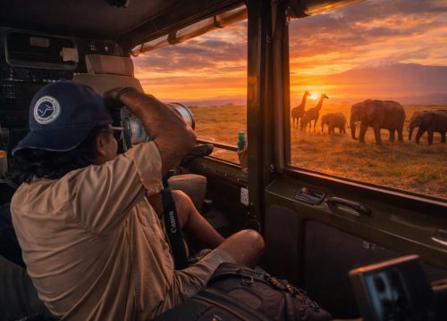 Navigating the Wild & The Urban: The Ultimate Guide to Car Hire and Transportation in Kenya