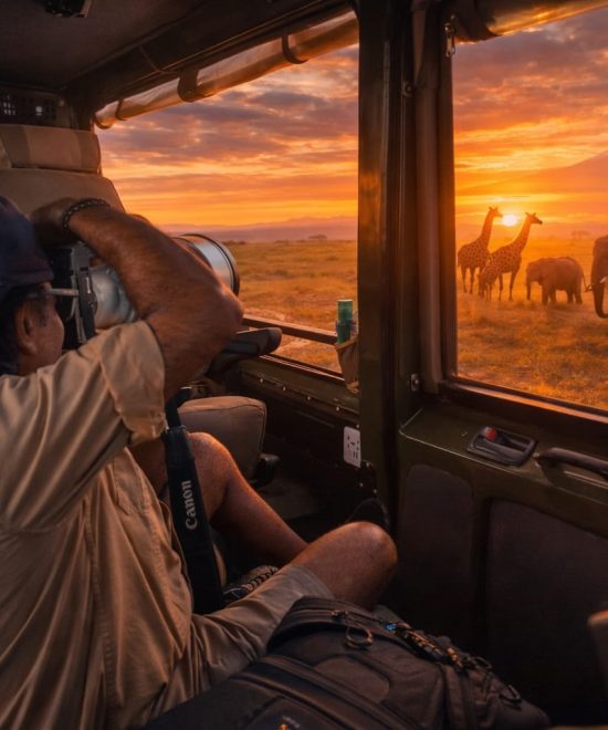 Navigating the Wild & The Urban: The Ultimate Guide to Car Hire and Transportation in Kenya