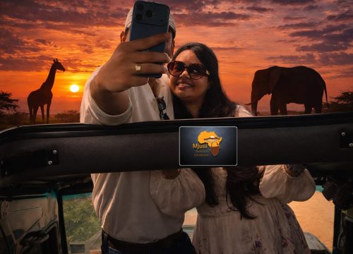 Navigating Kenya: The Ultimate Guide to Car Hire and Reliable Transportation Services