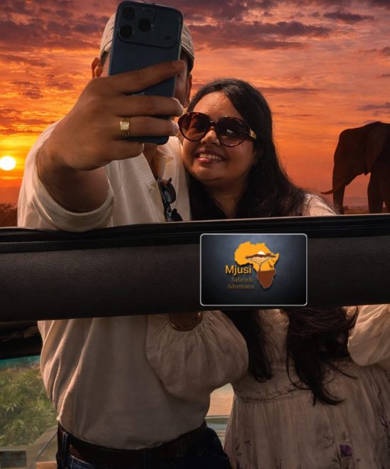 Navigating Kenya: The Ultimate Guide to Car Hire and Reliable Transportation Services