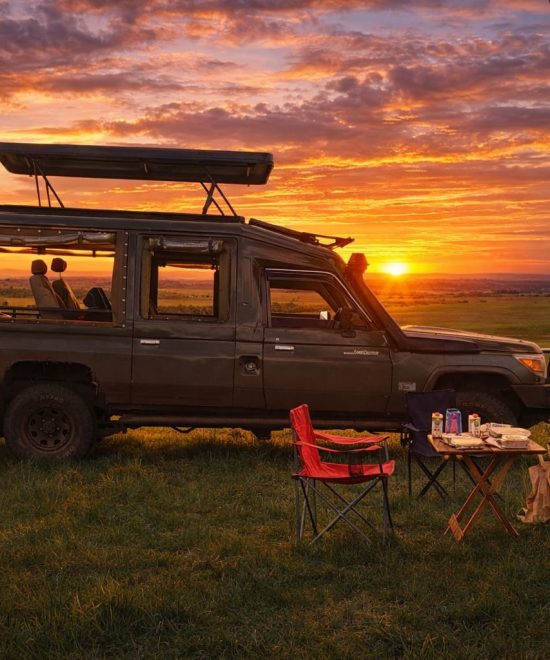 Exploring Kenya with Ease: The Ultimate Guide to Car Hire and Reliable Transportation