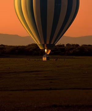East Africa Safari & Travel Master Q&A