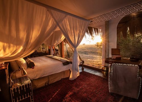 3 Days 2 Nights Masai Mara Tour dream safari adventures epic KENYA experience in style  Group joining safaris and private guided tour